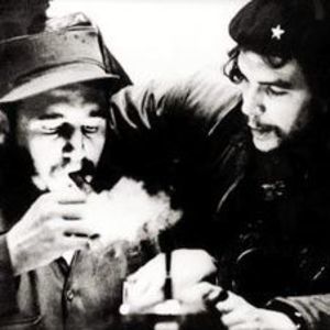 Meet your Posher, Frankie